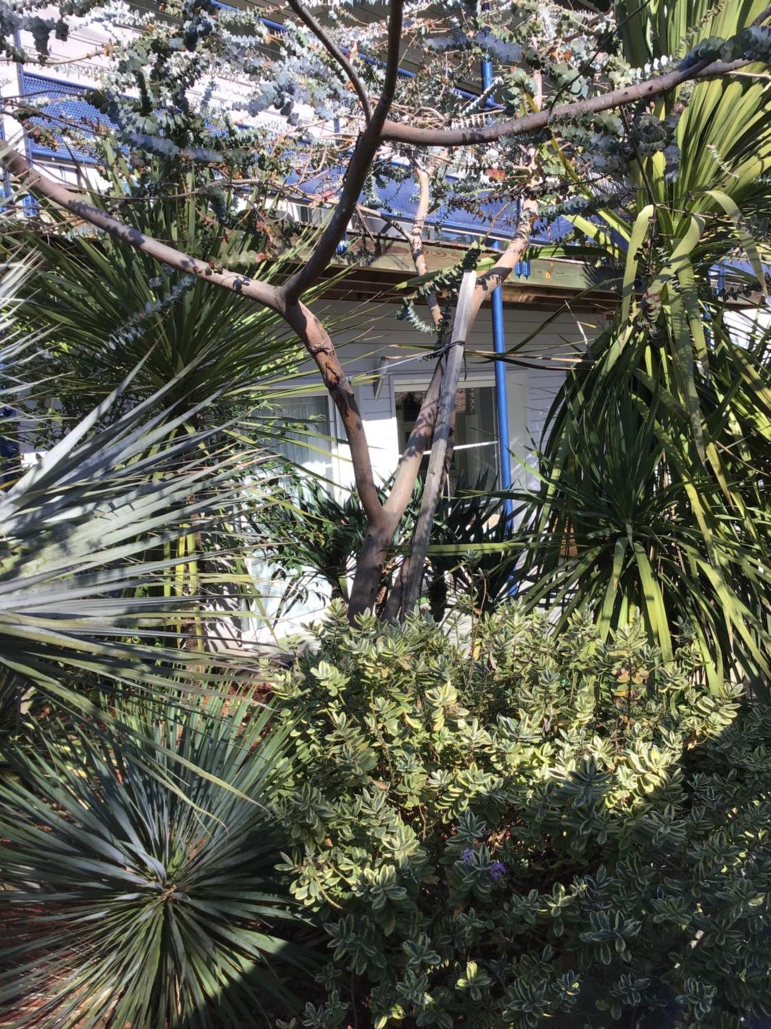 Agreable Appartement A 1Km Du Centre De לה-טסט-דה-בוש מראה חיצוני תמונה